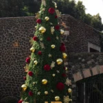 The Chritmas Planners - Decoración Navideña en México