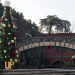 The Chritmas Planners - Decoración Navideña en México