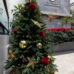 The Chritmas Planners - Decoración Navideña en México